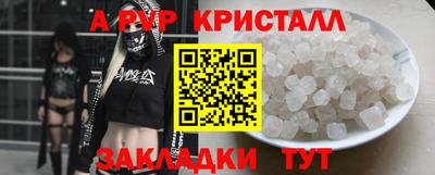 ешки Владимир