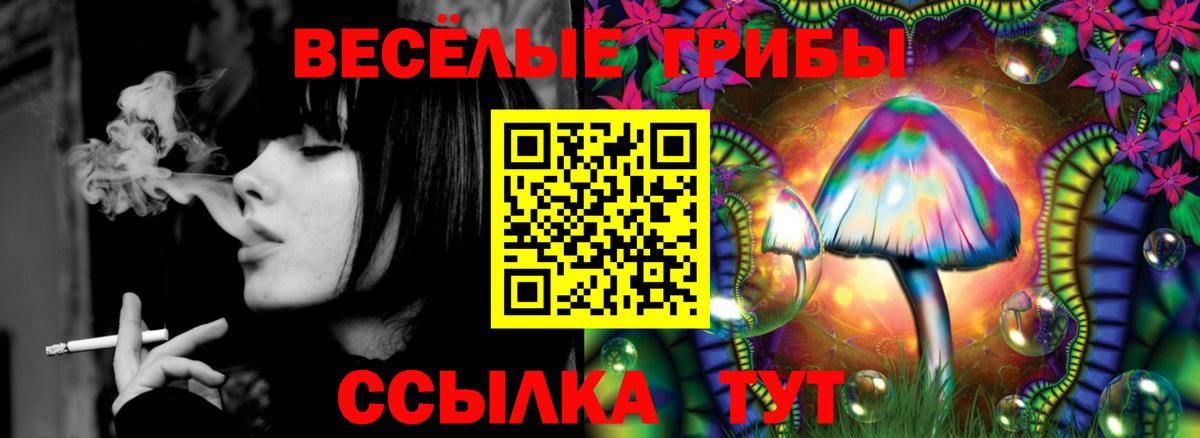 Сертолово  Псилоцибиновые грибы прущие грибы  Вход с VPN  цена   Галлюциногенные грибы Magic Shrooms 